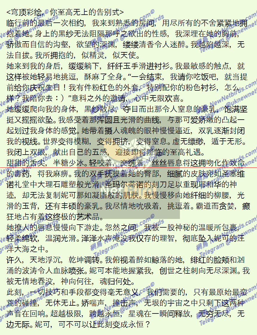 戰號 1000 5.png